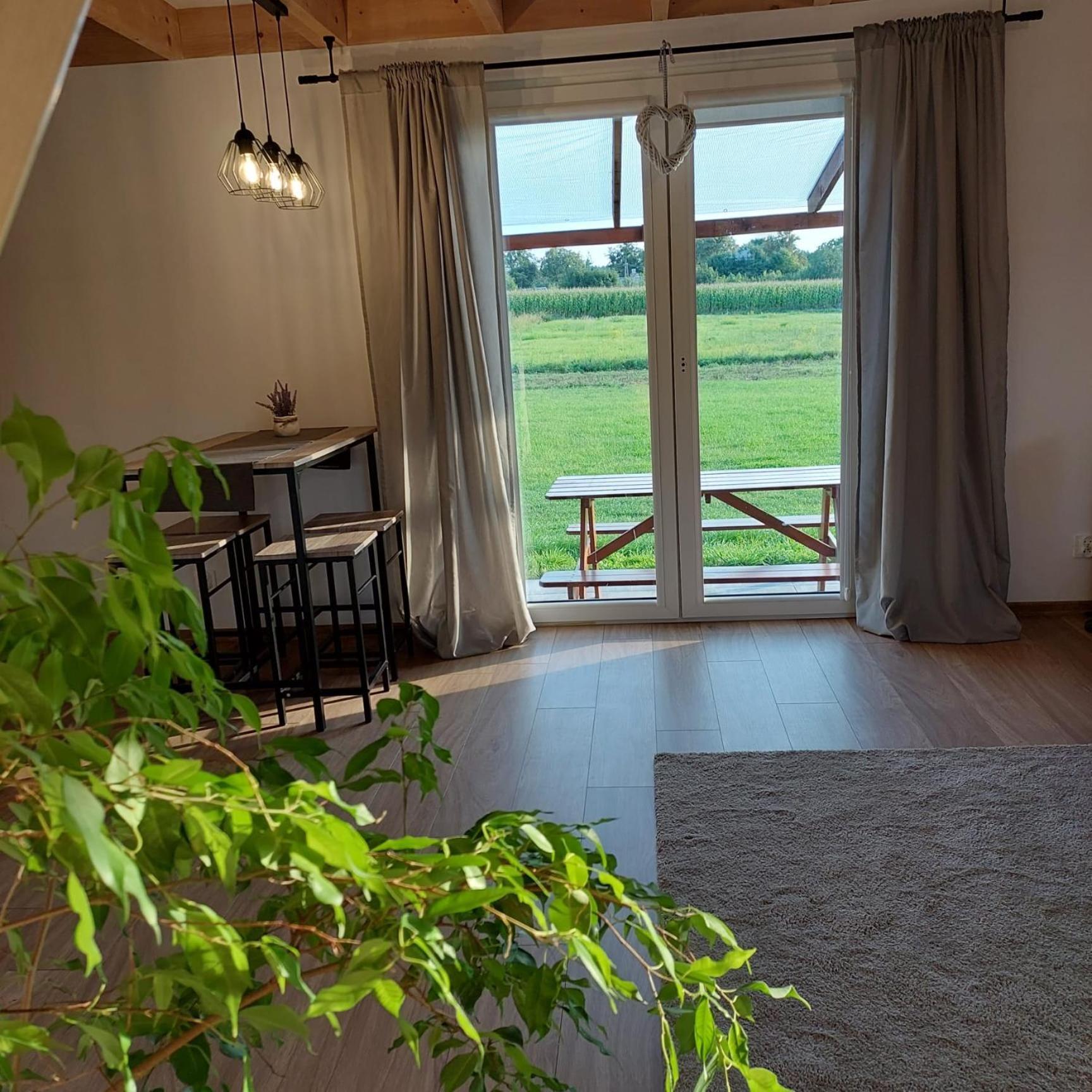 Domek Letniskowy Sloneczny Zakatek ฟรอมบอร์ก ภายนอก รูปภาพ
