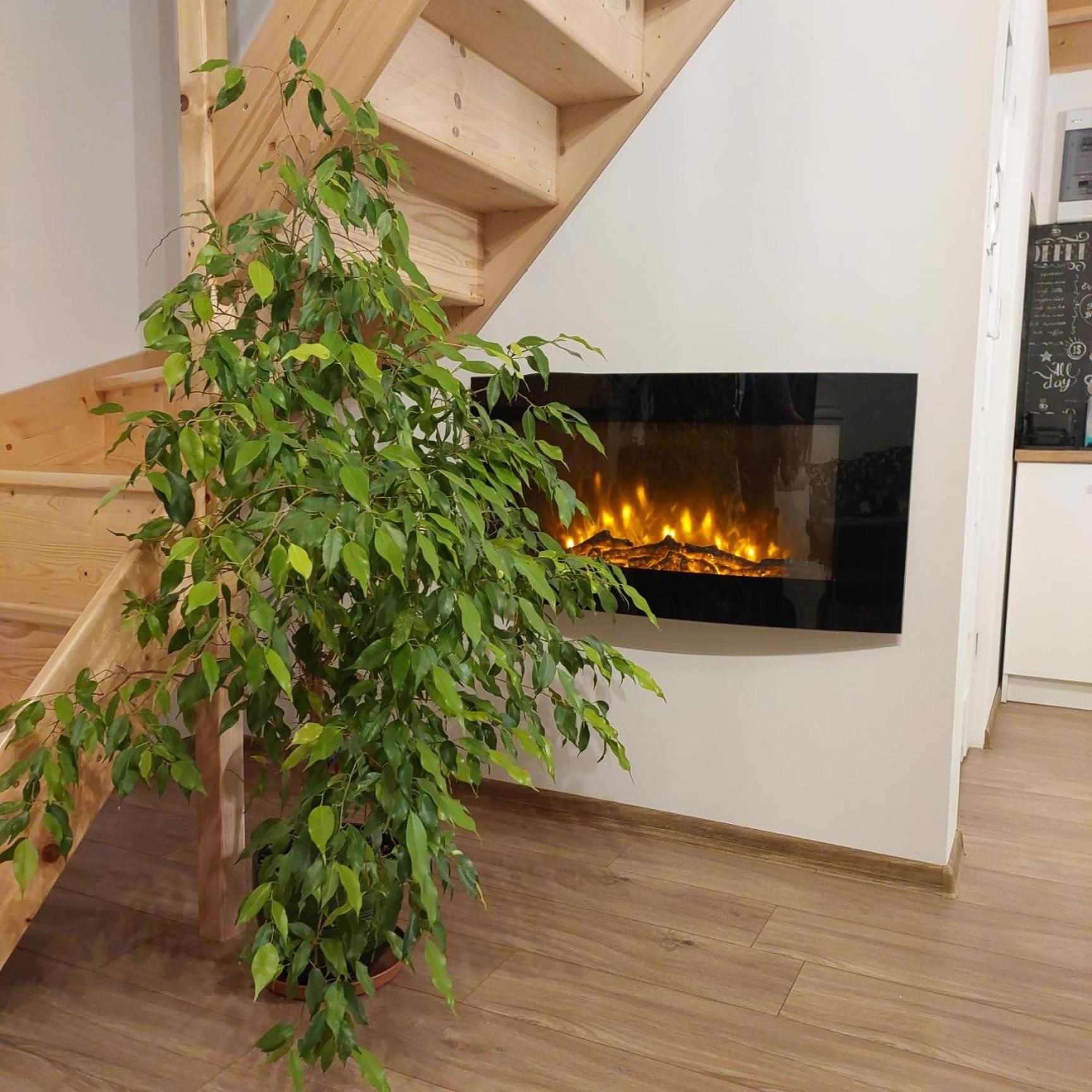 Domek Letniskowy Sloneczny Zakatek ฟรอมบอร์ก ภายนอก รูปภาพ